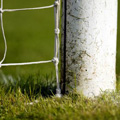 Former Hearts kid set to move on from Brighton Former Hearts kid set to move on from Brighton
